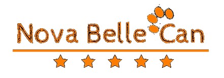 Guarderia canina Nova Belle Can